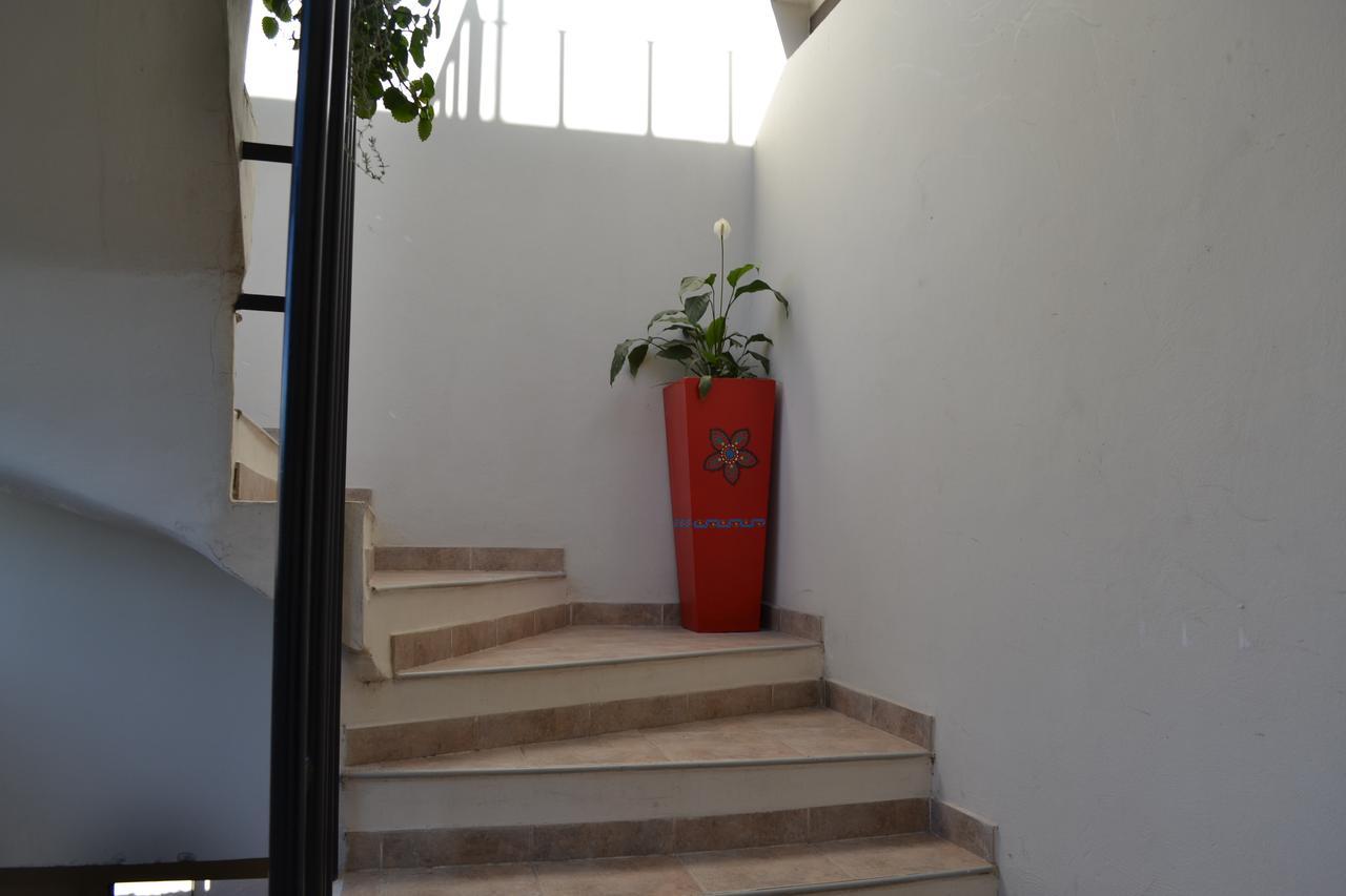 Guest House Jujuy سان سلفادور دي خوخوي المظهر الخارجي الصورة