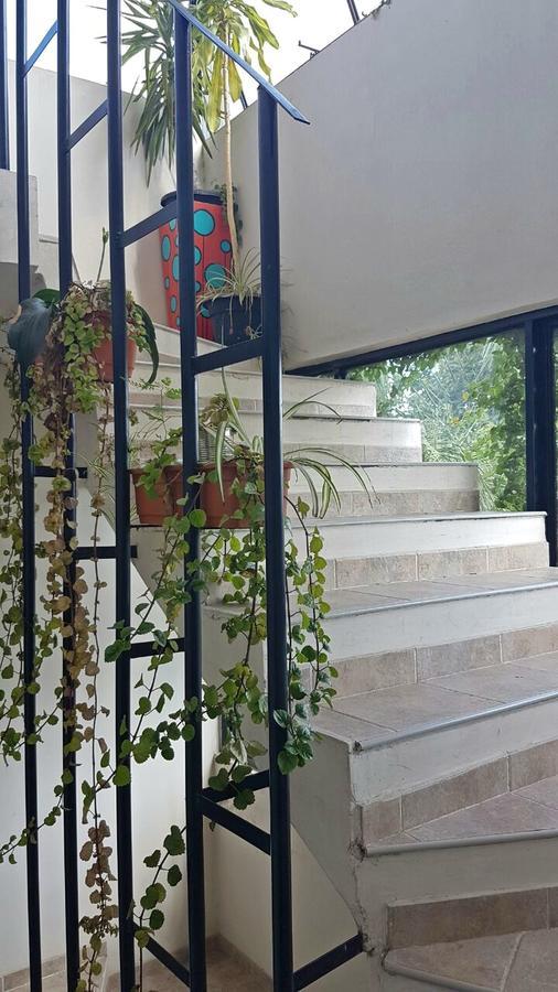 Guest House Jujuy سان سلفادور دي خوخوي المظهر الخارجي الصورة